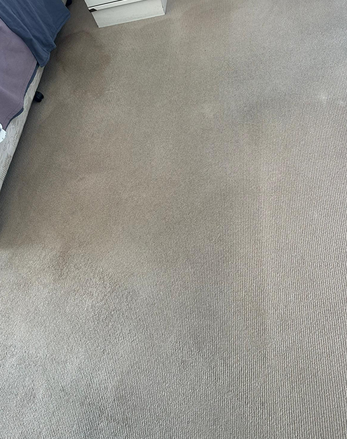 Carpet Dry Cleaning