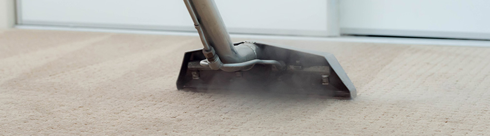 Professional Carpet Dry Cleaning 